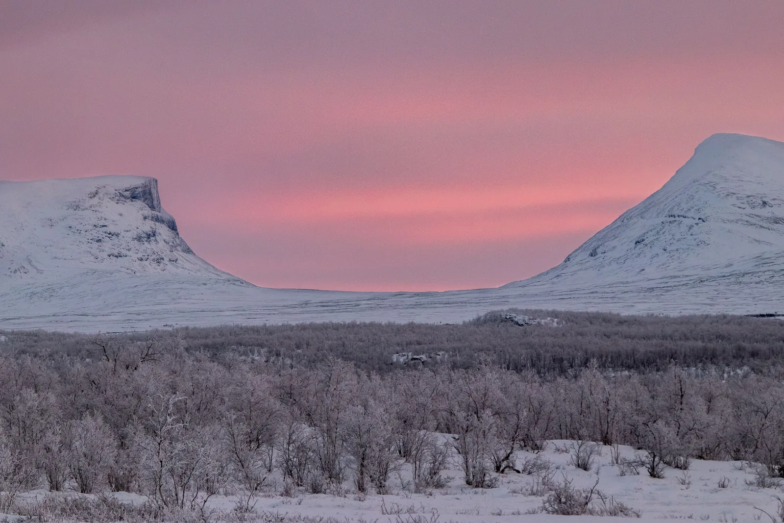 Angebotsfoto: Geführte Morgenwanderung im Abisko-Nationalpark