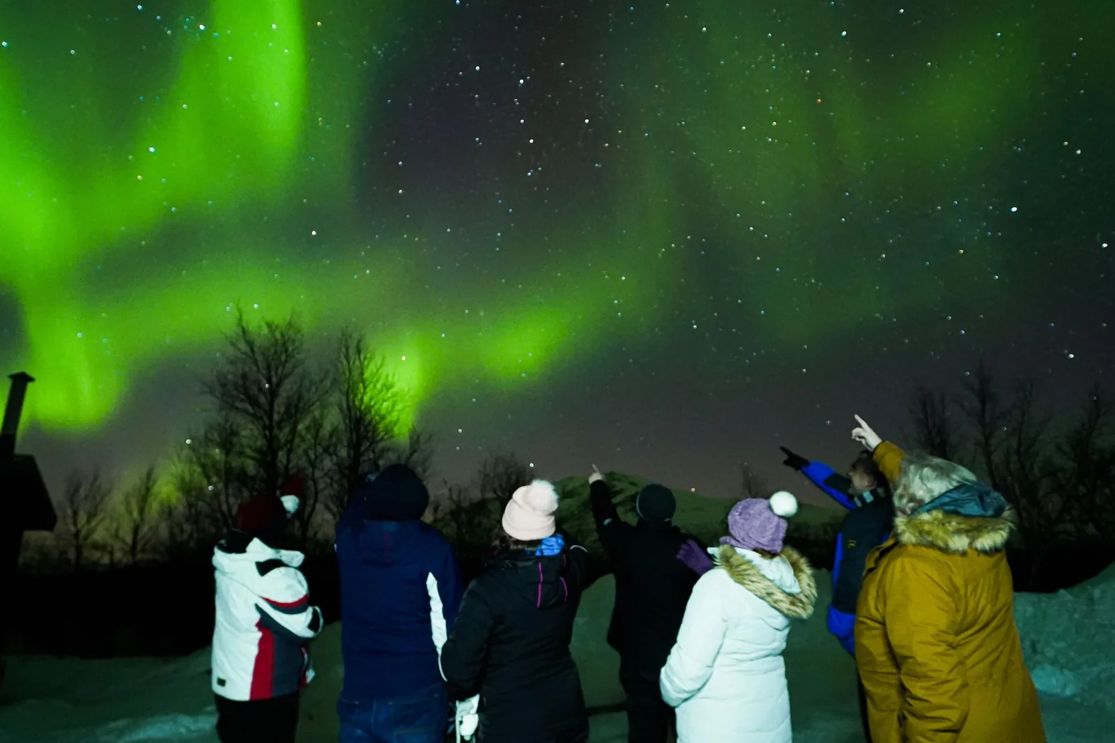 Angebotsfoto: Ab Kiruna: abends im Kleinbus zum Polarlicht in den Abisko-Nationalpark