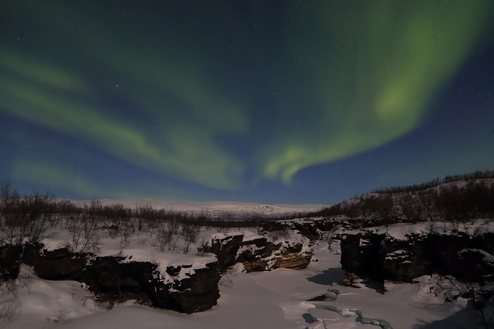 Grünes Polarlicht im Abisko-Nationalpark über dem verschneiten, zugefrorenen Canyon des Abiskojåkka, dahinter Birken und ein flacher Bergrücken