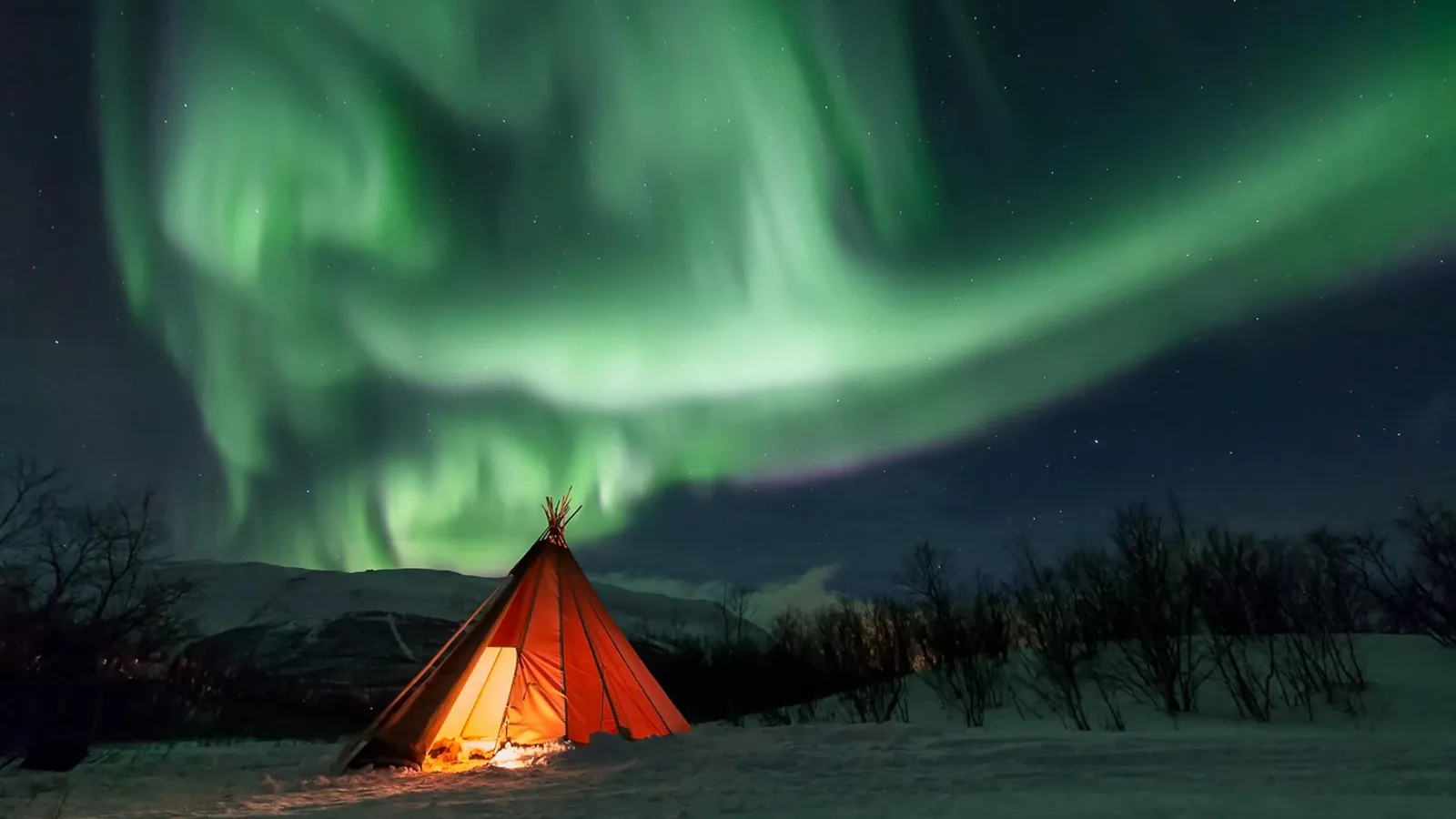 Angebotsfoto: Polarlicht-Fototour ab Abisko mit gestellter Kamera