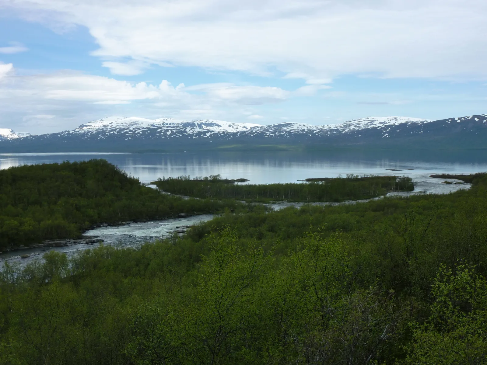 Der Abiskojåkka mündet durch Birkenwald im Abisko-Nationalpark in den Torneträsk, dahinter schneebedeckte Berge