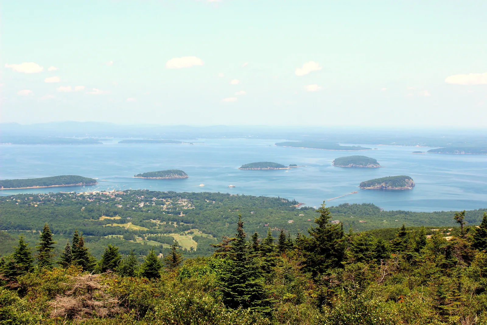Blick vom Cadillac Mountain über Nadelwald auf Bar Harbor, die Frenchman Bay und die bewaldeten Porcupine Islands