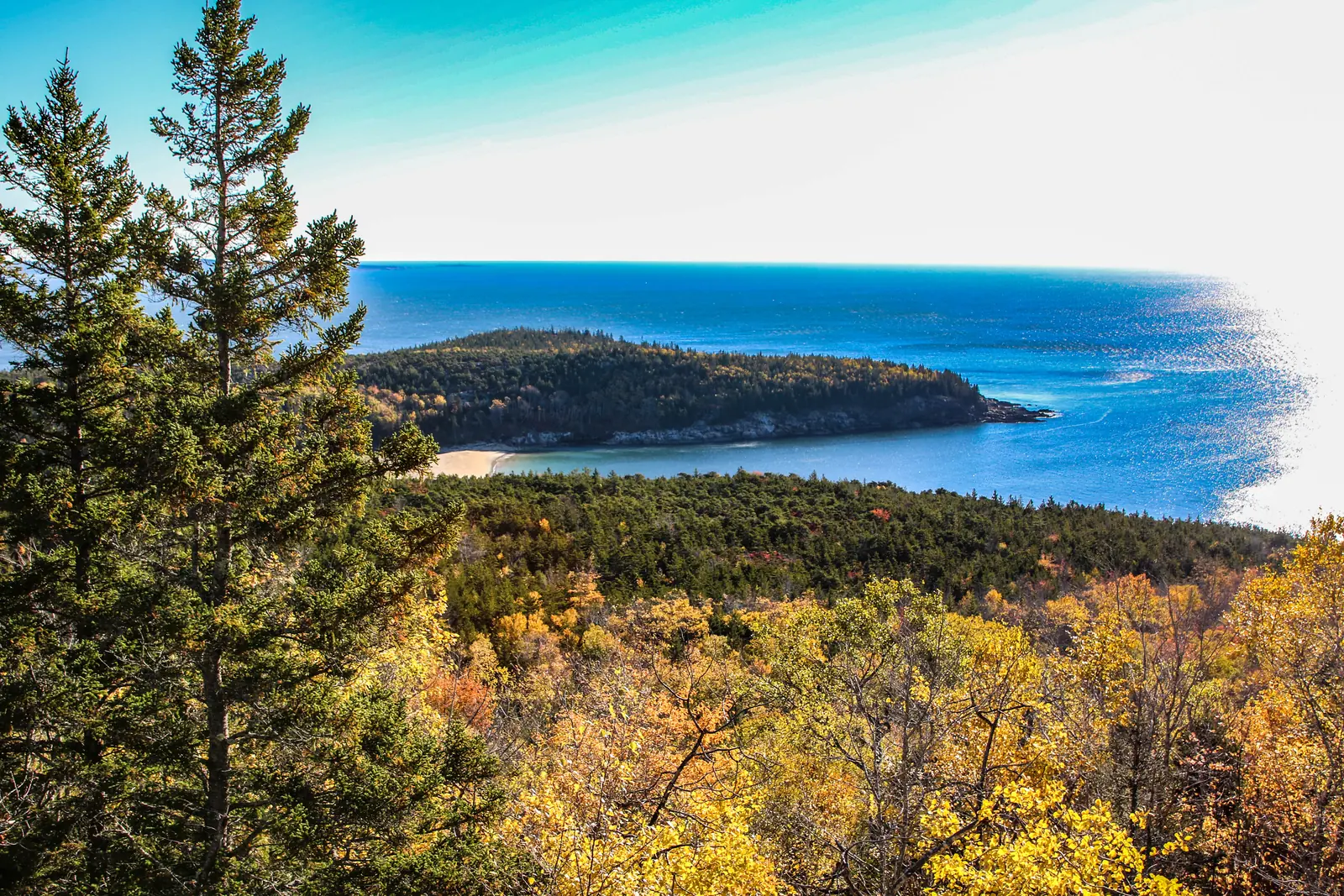 Blick vom Gorham Mountain über herbstlich gefärbten Wald hinunter auf den Sand Beach und die Landspitze Great Head