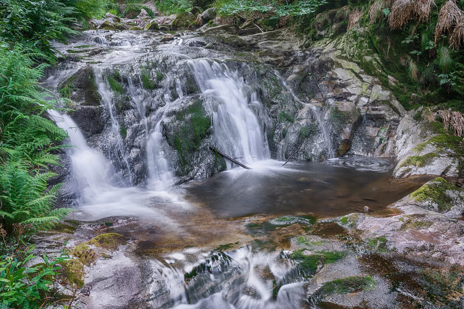 Kaskade der Allerheiligen-Wasserfälle über Granitstufen in ein Felsbecken, Nationalpark Schwarzwald