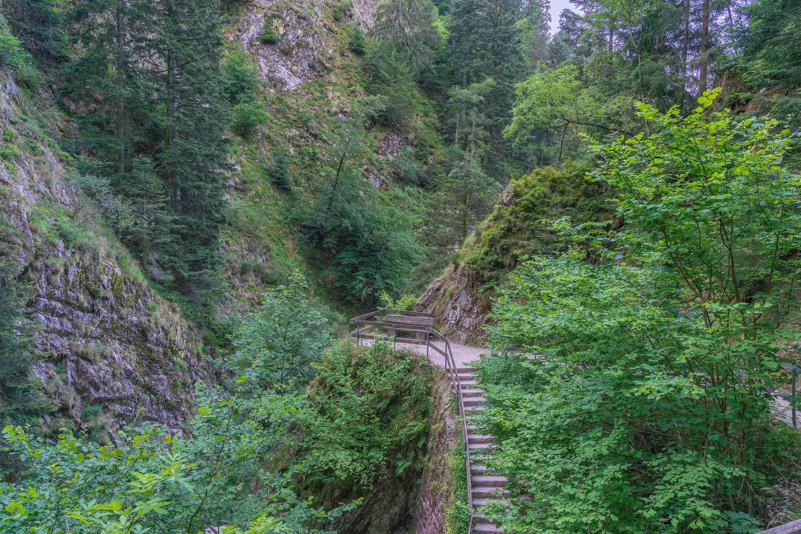 Treppenweg entlang der steilen, bewaldeten Felswände in der Schlucht der Allerheiligen-Wasserfälle