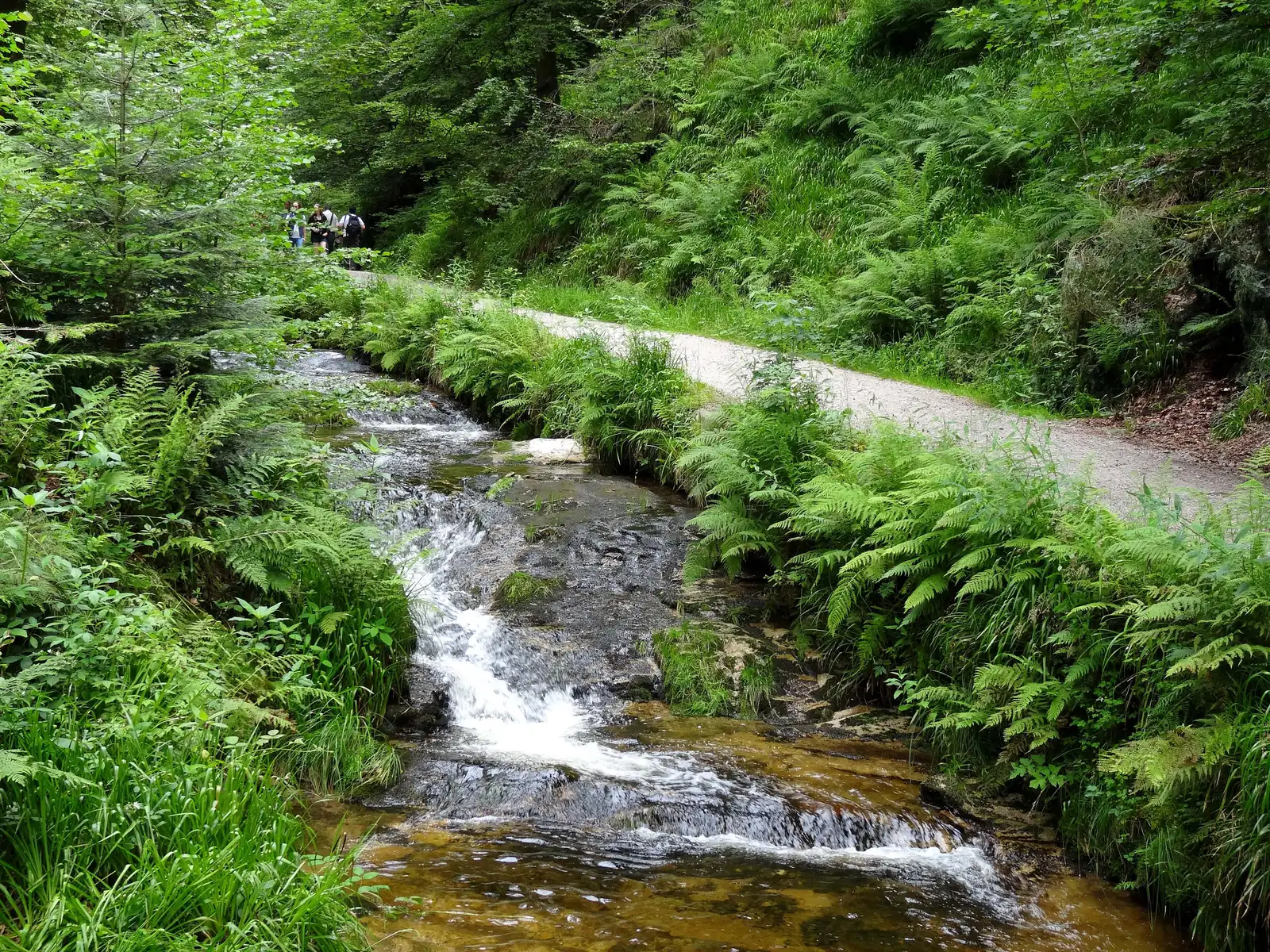 Wasserfall stürzt über eine Felskante in ein flaches Becken mit Steinen, Allerheiligen-Wasserfälle im Sommer