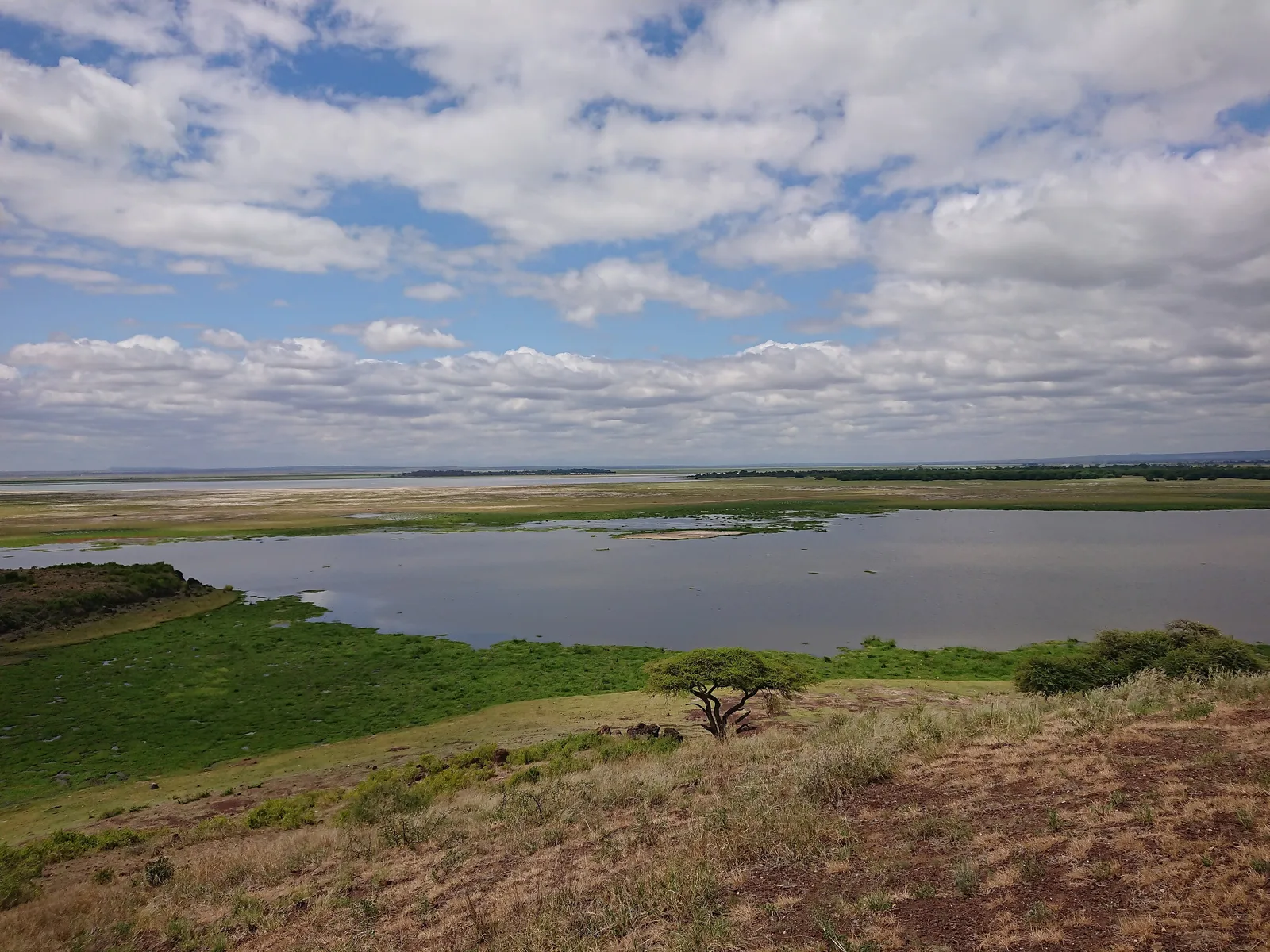 Sumpfland im Amboseli-Nationalpark von Observation Hill aus: eine Wasserfläche mit grünem Ufersaum, dahinter eine weite, helle Ebene unter Wolken