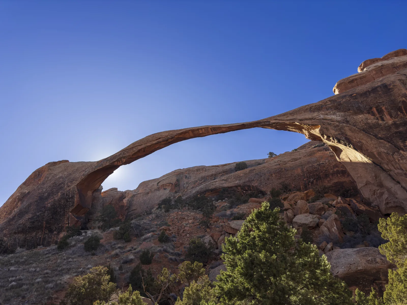 Der extrem schmale, weit gespannte Landscape Arch im Gegenlicht über Wacholderbüschen