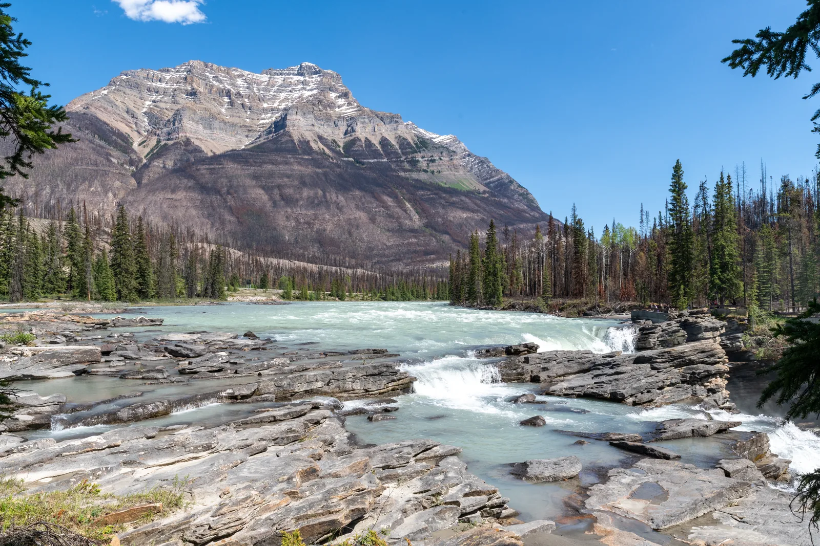 Der Athabasca River fließt über flache Felsstufen auf die Athabasca Falls im Jasper-Nationalpark zu, dahinter ein kahler Berg