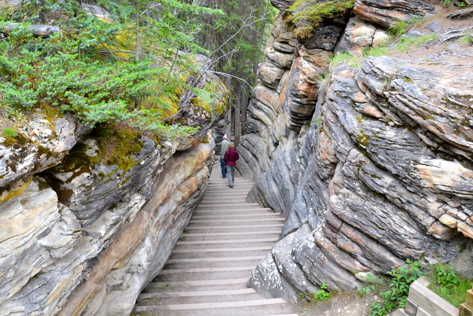 Besucher auf der Treppe zwischen glatt gewaschenen Kalkwänden an den Athabasca Falls im Jasper-Nationalpark