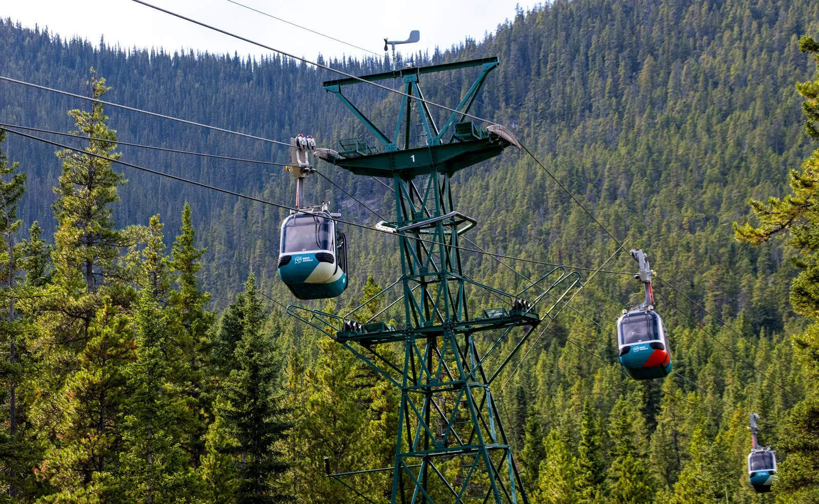 Kabinen der Banff Gondola an einem grünen Stahlmast über dem Nadelwald des Sulphur Mountain
