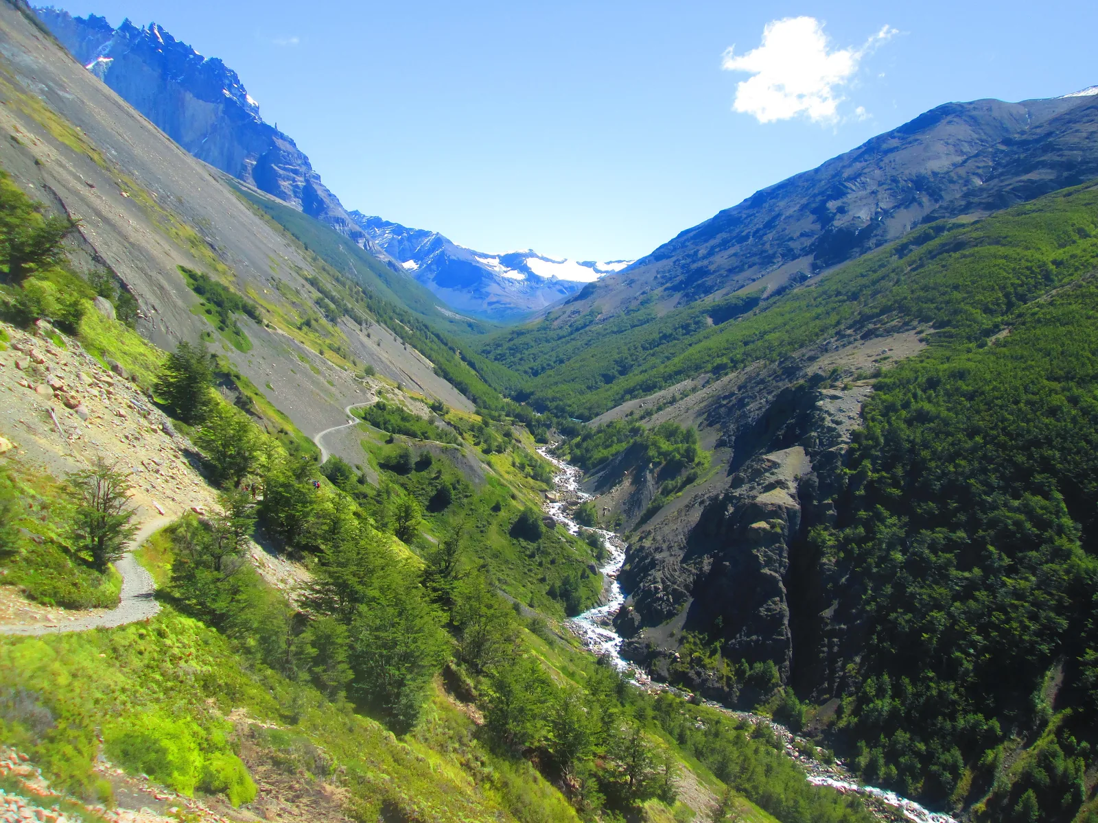 Das Valle Ascencio im Nationalpark Torres del Paine: Wanderweg am grünen Hang über einem Fluss, hinten Berge
