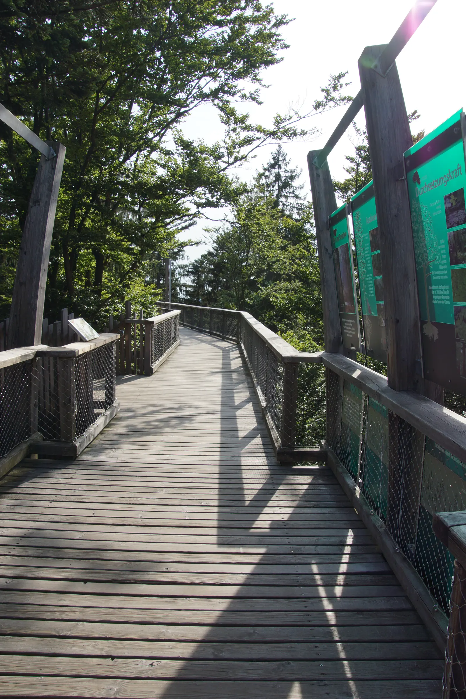 Der Aussichtsturm des Baumwipfelpfads in Neuschönau