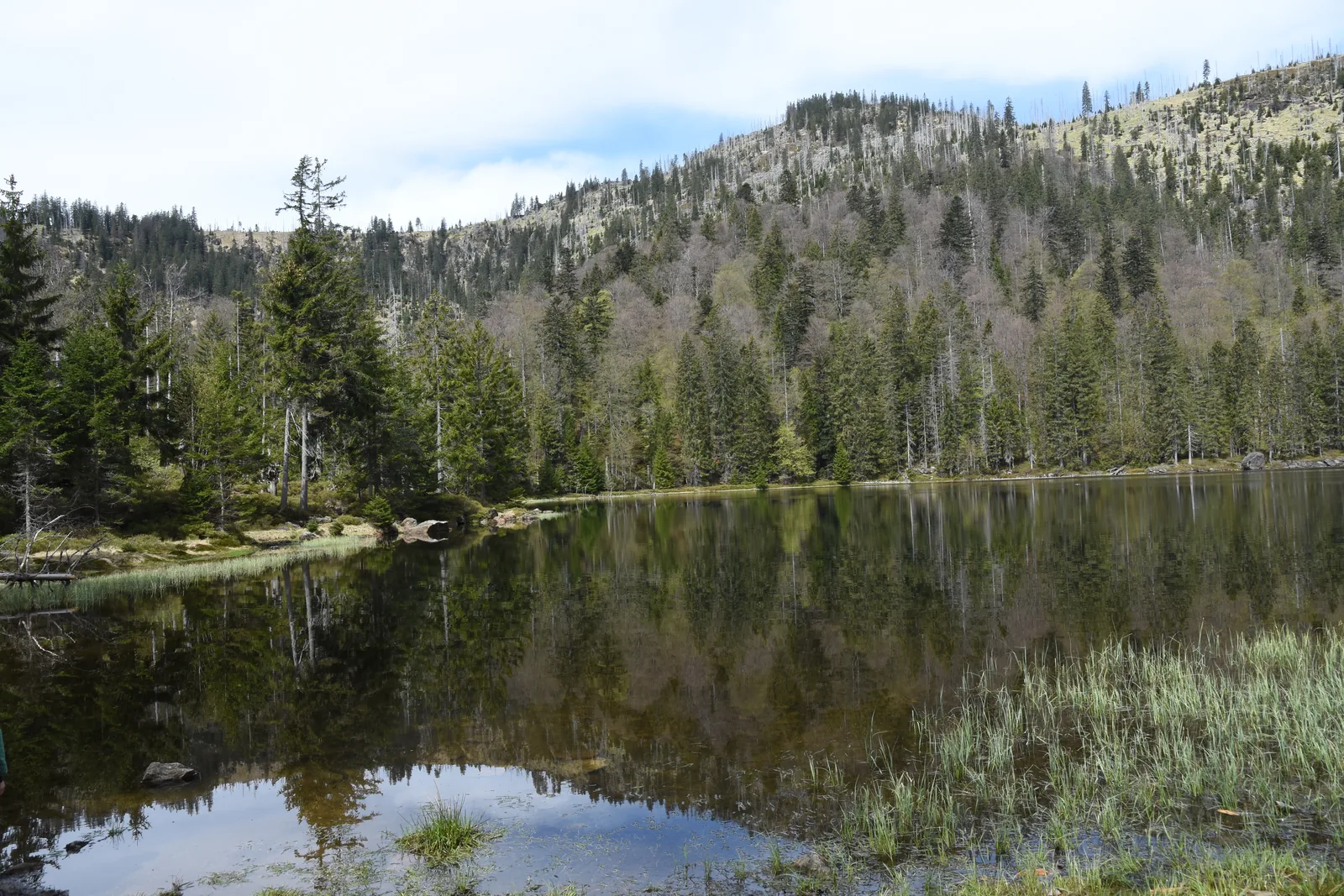 Der Rachelsee spiegelt den bewaldeten Hang des Großen Rachel