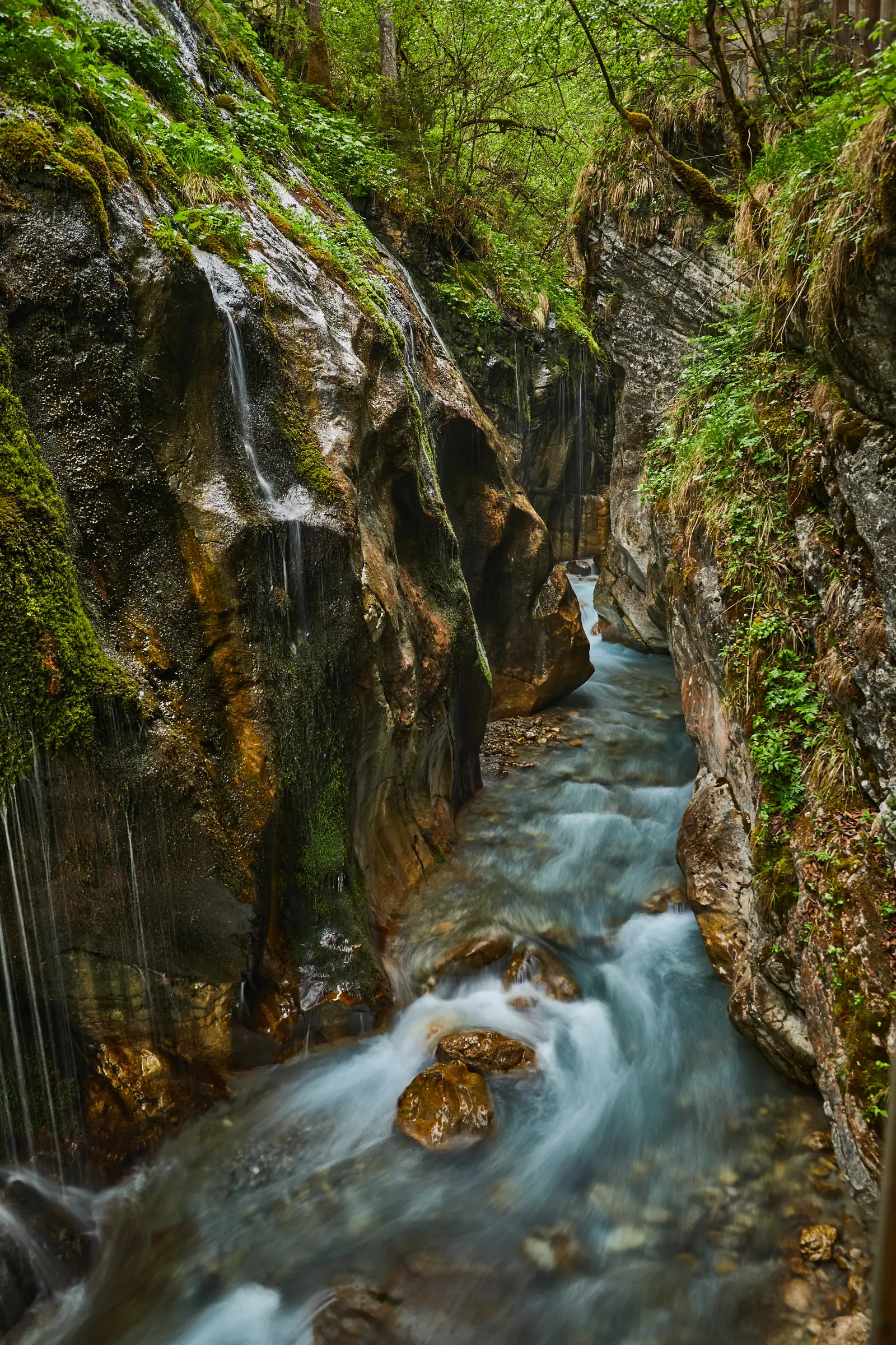 Türkisfarbenes Wasser stürzt durch die enge, bemooste Wimbachklamm