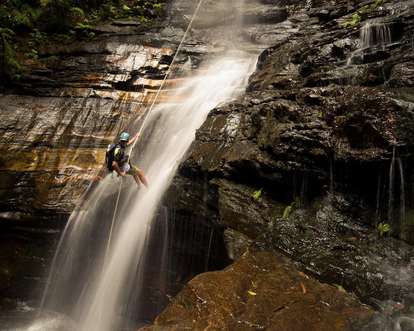 Angebotsfoto: Blue Mountains: ein Tag Abseilen und Canyoning in kleiner Gruppe