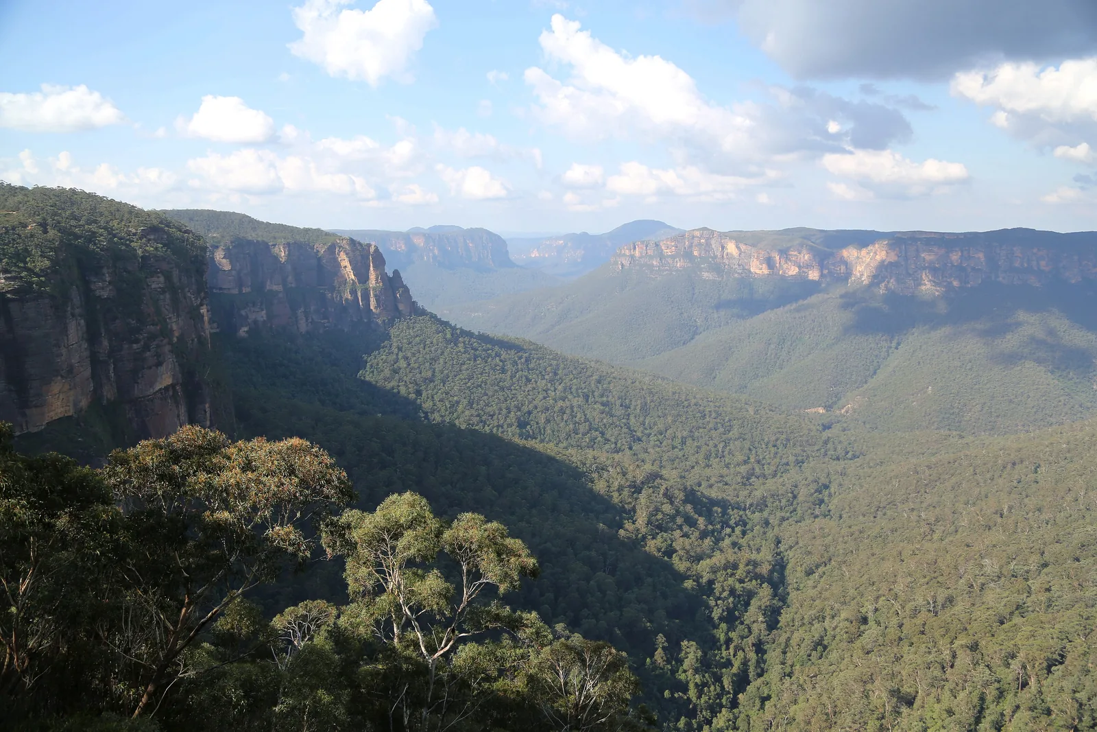 Blick vom Govetts Leap im Blue-Mountains-Nationalpark über das bewaldete Grose Valley, links senkrechte Sandsteinklippen, am Horizont weitere Felsplateaus