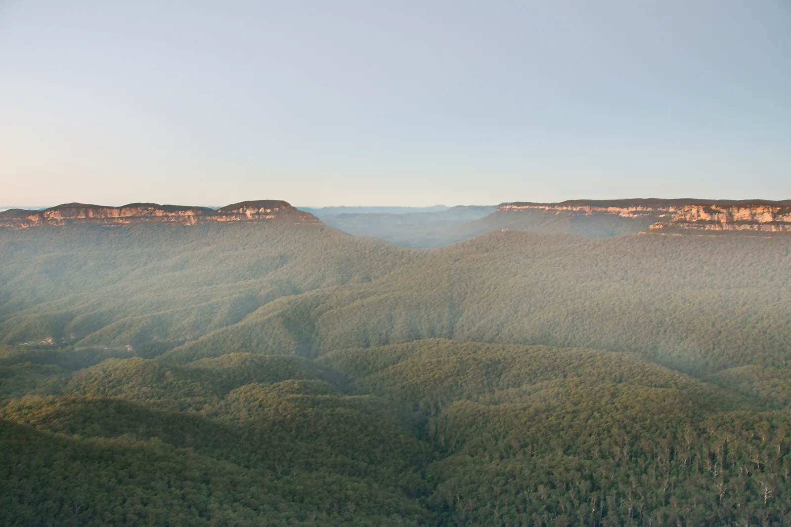 Das Jamison Valley im Blue-Mountains-Nationalpark am Morgen: bewaldete Hügel im Dunst, dahinter Sandsteinklippen am Horizont