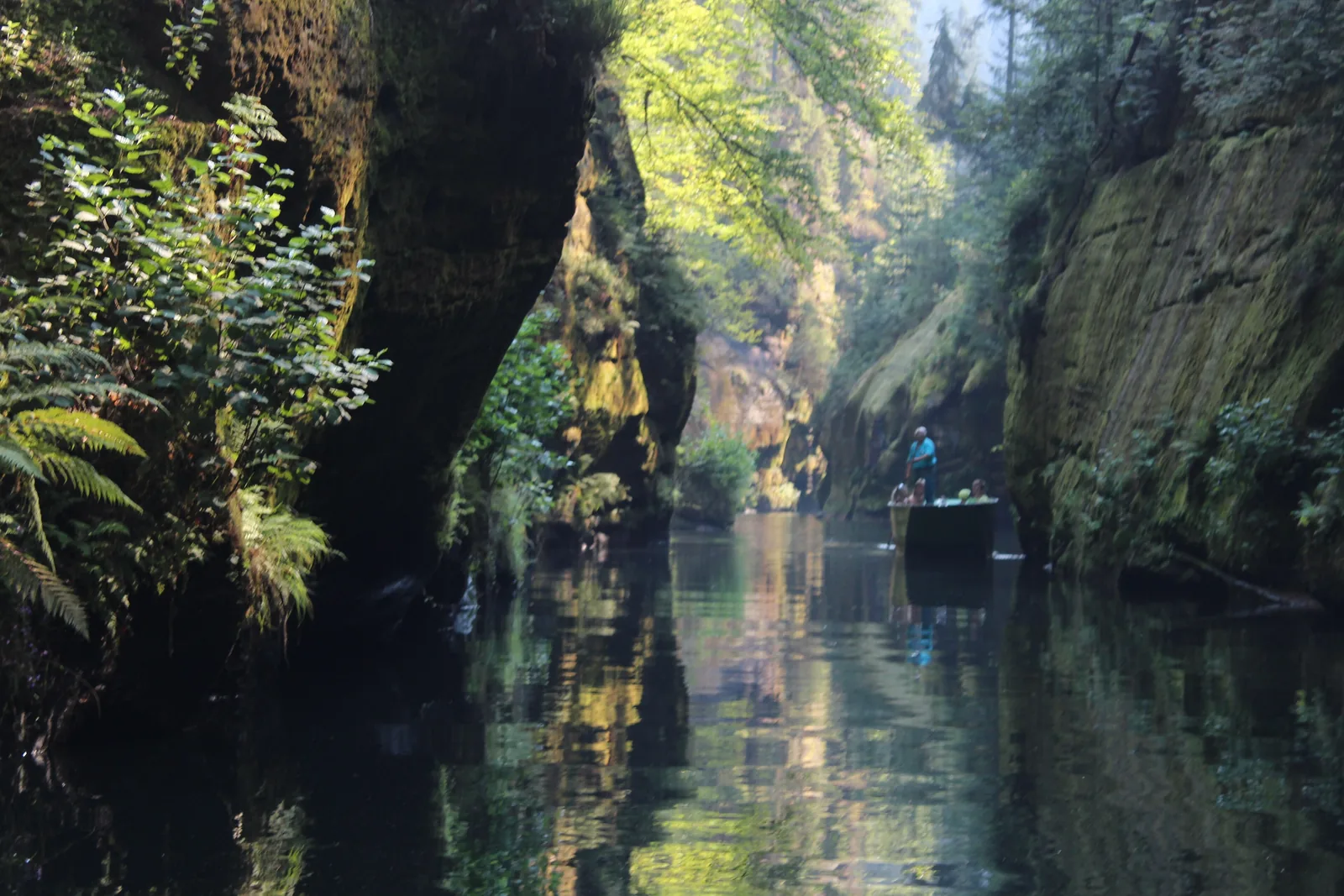 Ein Kahn gleitet durch die schattige Edmundsklamm in der Böhmischen Schweiz, links und rechts bemooste Sandsteinwände über dunklem Wasser