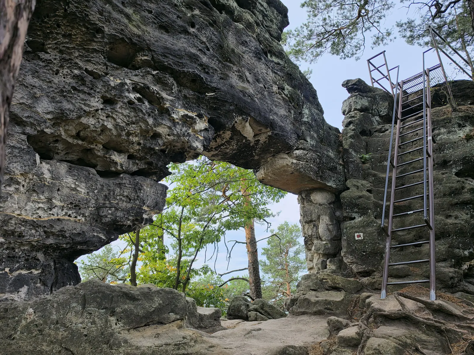 Das Kleine Prebischtor in der Böhmischen Schweiz: ein niedriger Felsbogen aus Sandstein, rechts eine Eisenleiter an der Felswand