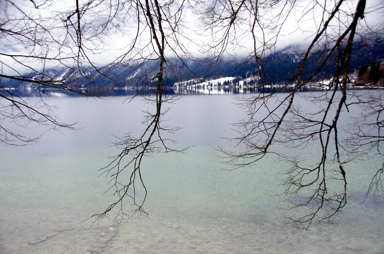 Klares Wasser am Ufer des Bohinjer Sees, im Hintergrund Schnee auf den Hängen