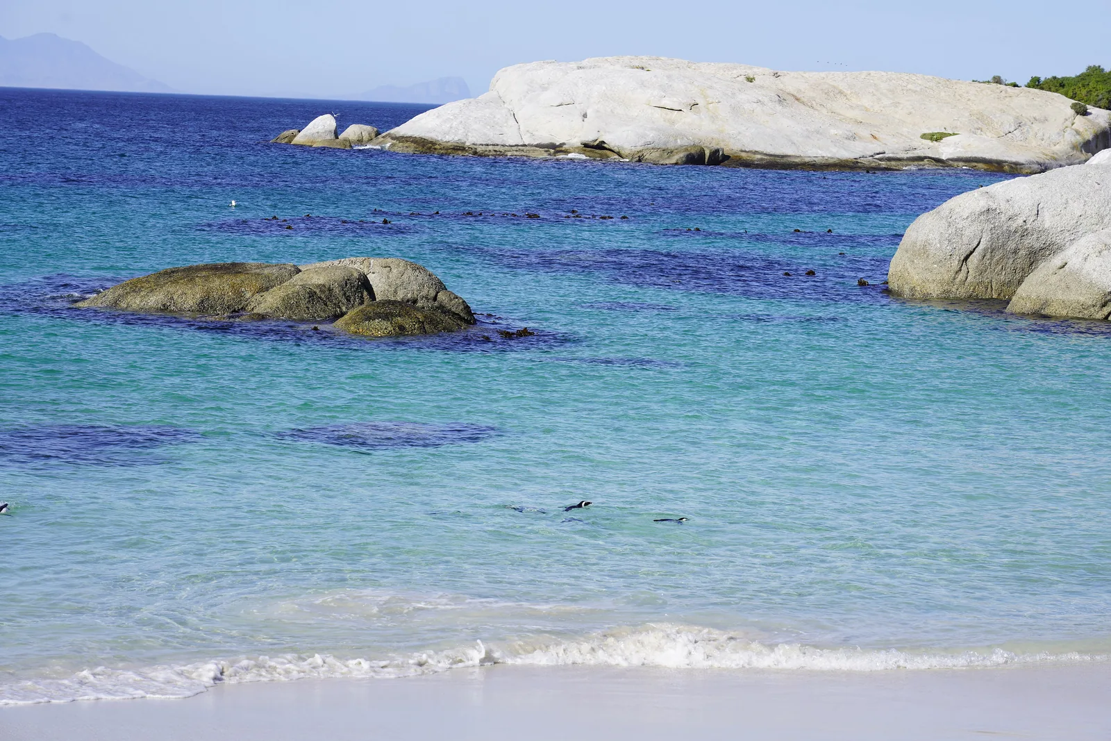 Afrikanische Pinguine stehen im flachen, klaren Wasser am Boulders Beach zwischen hellen Granitfelsen