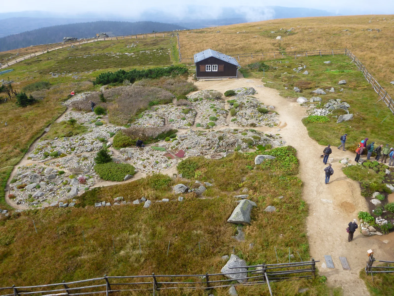 Der Brockengarten auf der Gipfelkuppe mit Blick auf den Turm des Deutschen Wetterdienstes