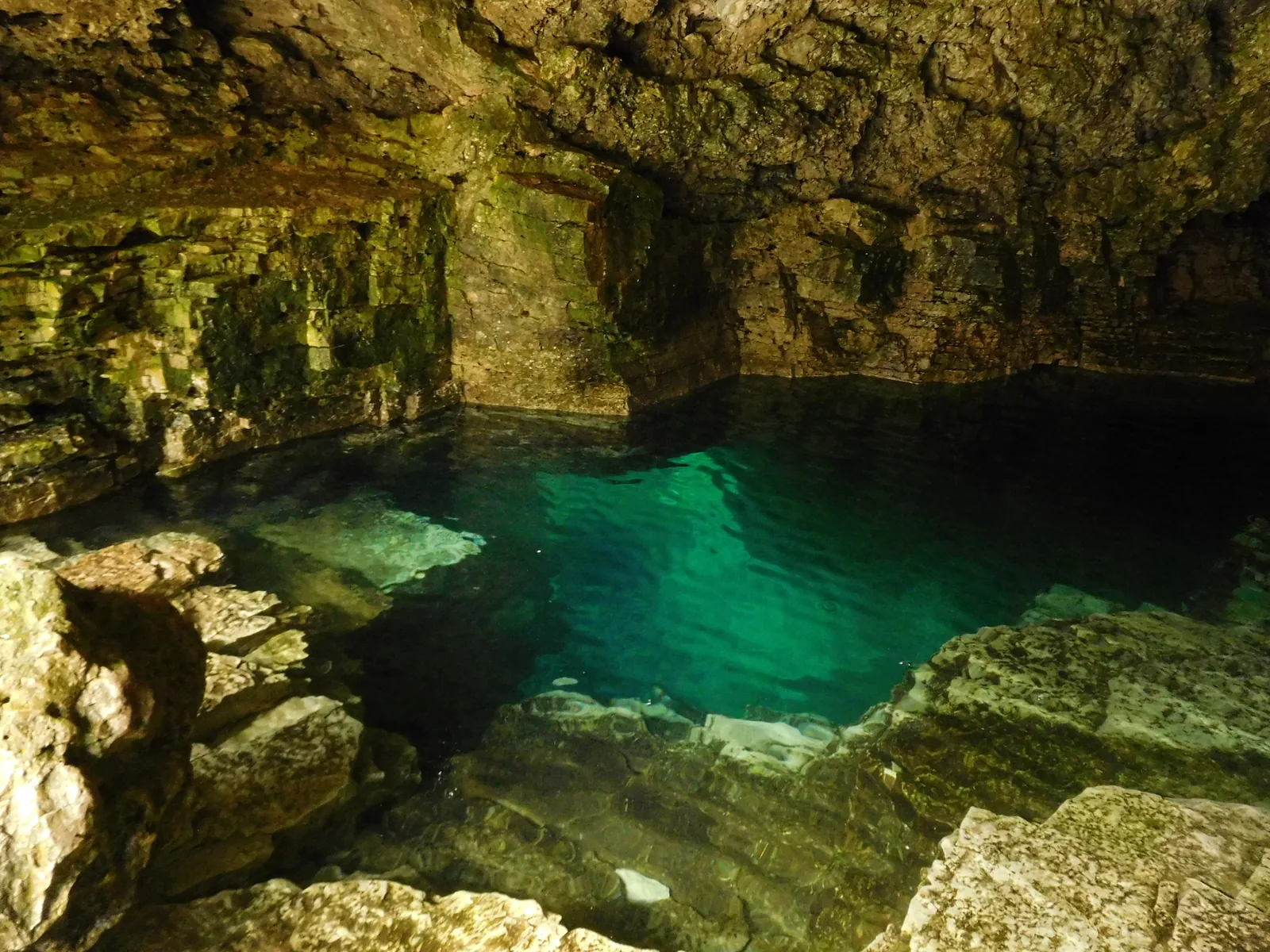 Blick aus der Grotto heraus: grün leuchtendes Wasser in der Kalksteinhöhle, darüber die gewölbte Felsdecke