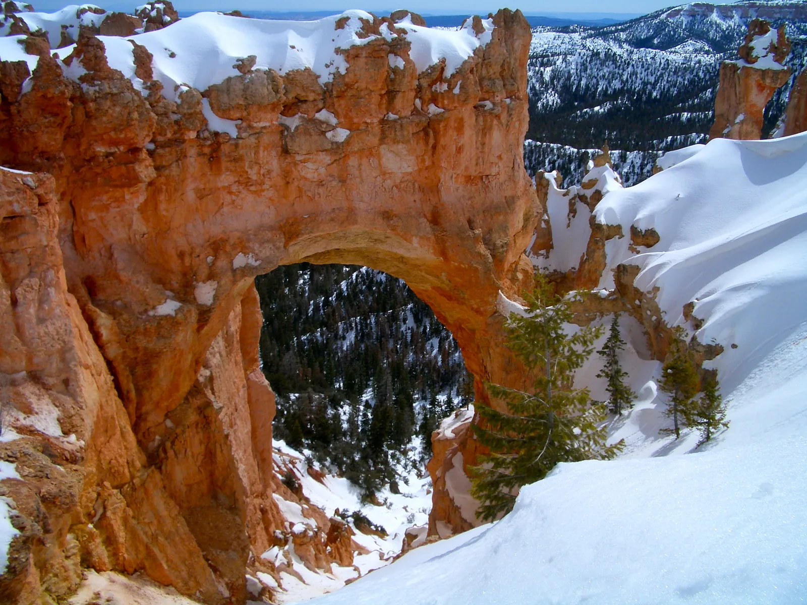 Der Felsbogen Natural Bridge im Schnee, darunter dunkelgrüne Nadelbäume