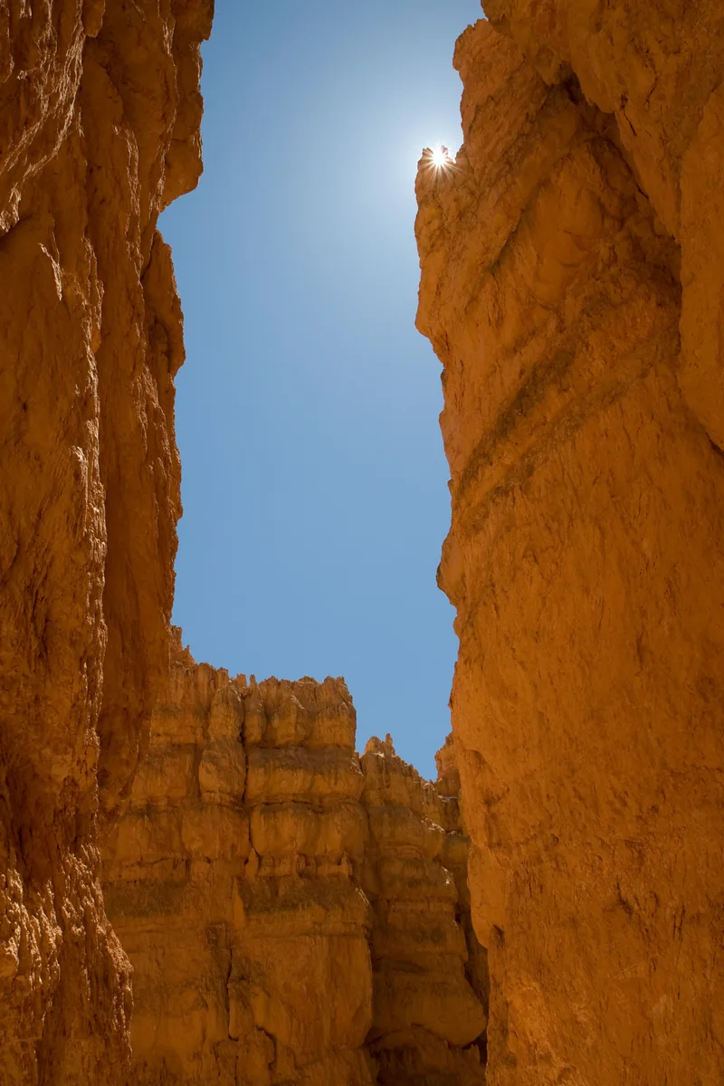 Blick aus der engen Felsgasse Wall Street am Navajo Loop senkrecht nach oben zwischen zwei orangefarbenen Wänden