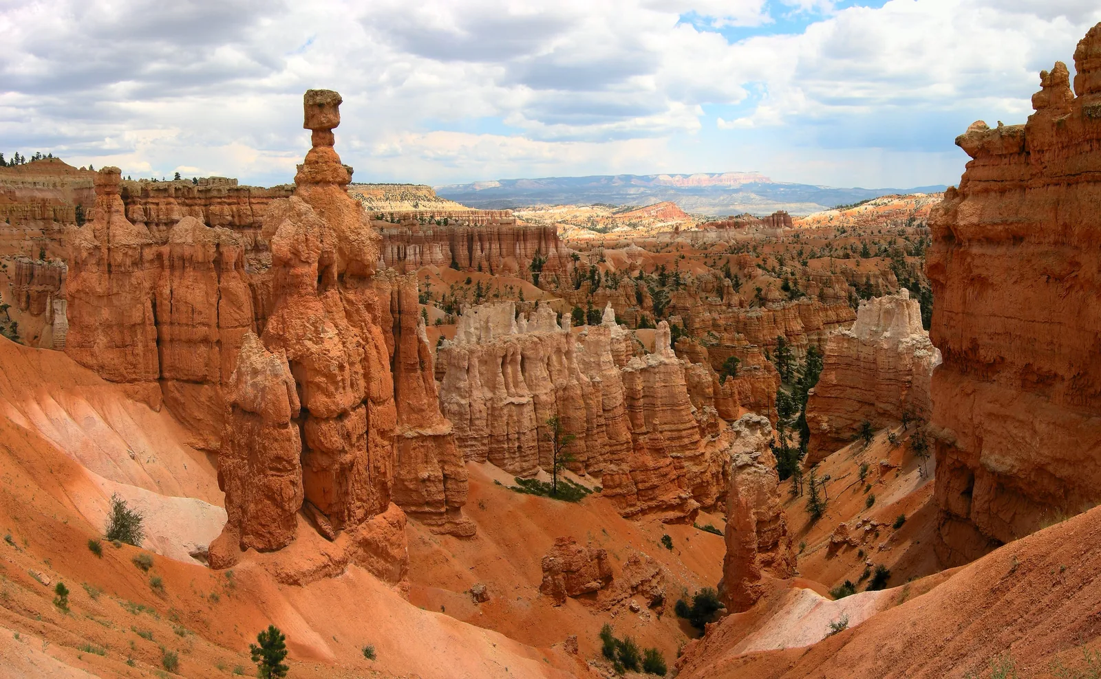 Der frei stehende Hoodoo Thor’s Hammer mit breiter Deckplatte auf schmalem Hals vor dem Bryce Amphitheater