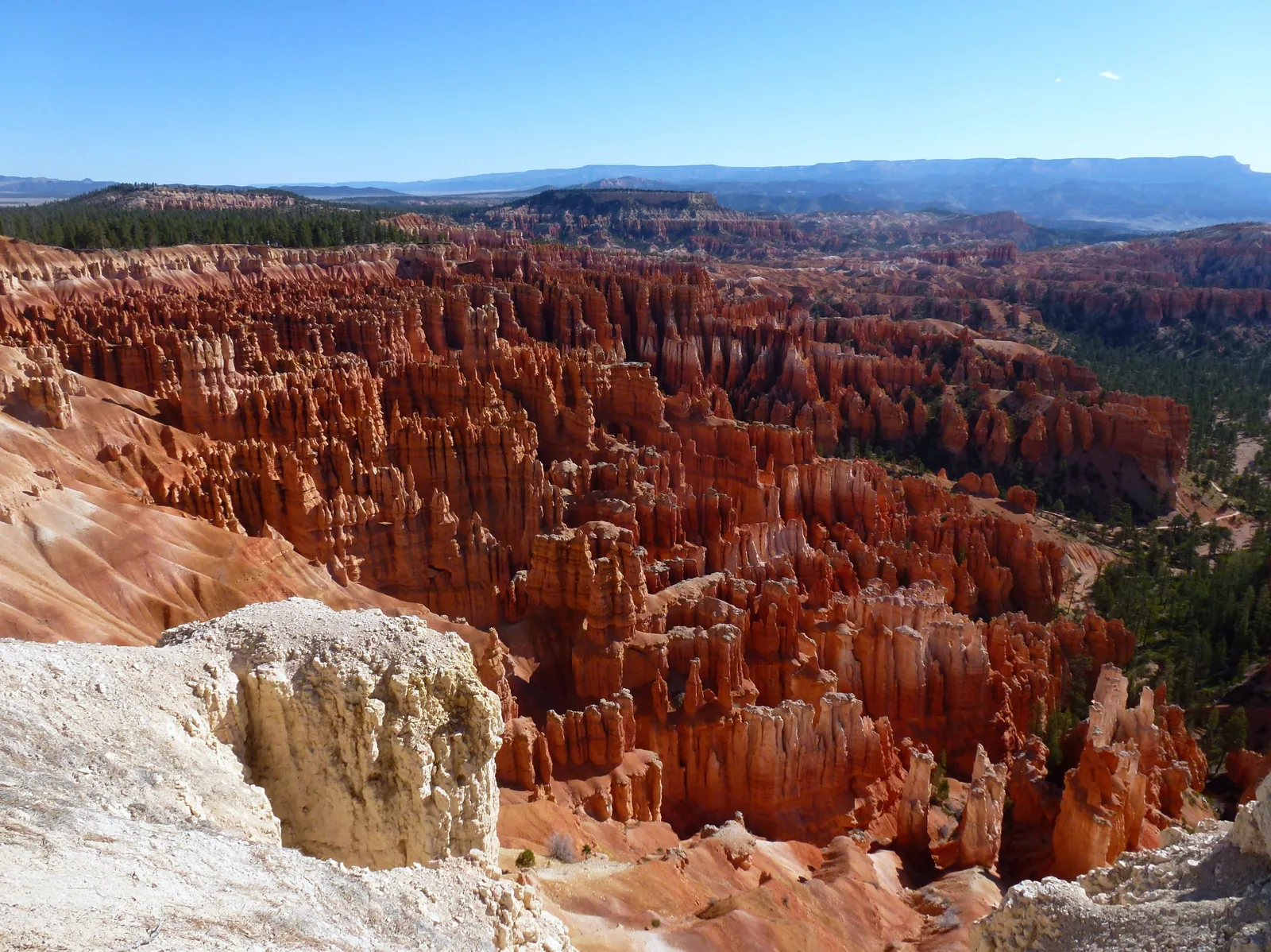 Blick über das Bryce Amphitheater: dicht gedrängte orangefarbene Hoodoos, dahinter bewaldete Hänge und ferne Hochflächen