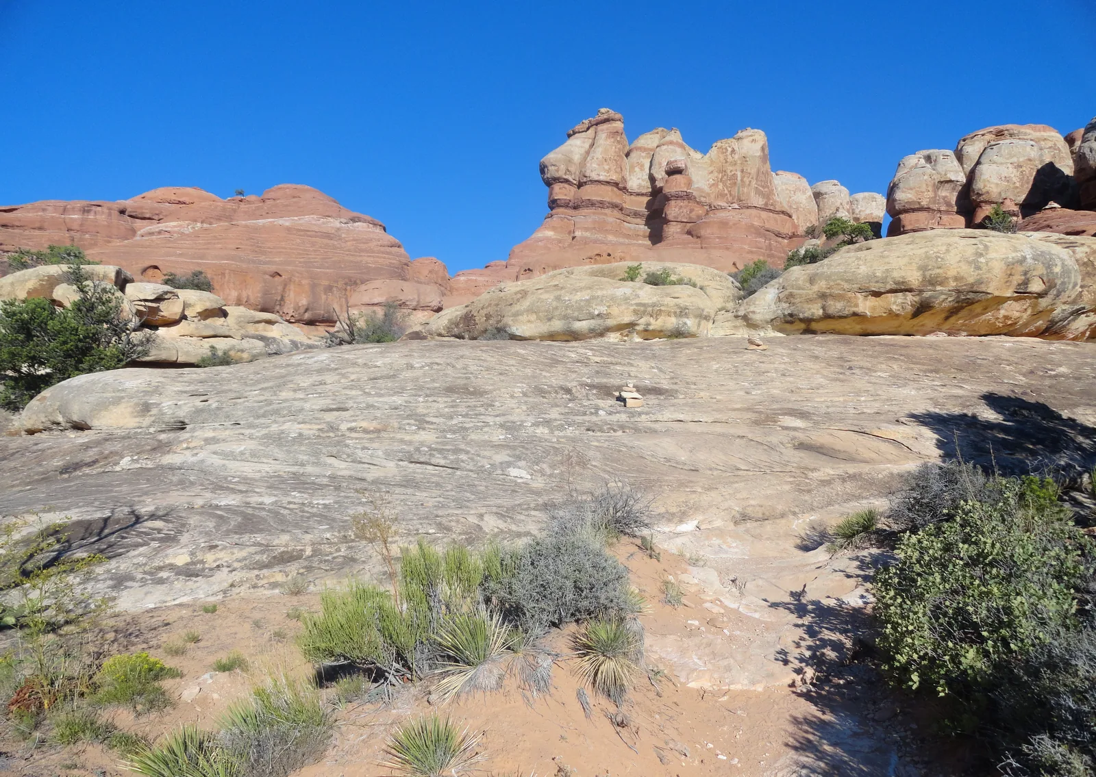 Blanker Sandstein im Vordergrund, dahinter die gebänderten Felsnadeln des Needles-Bezirks unter blauem Himmel