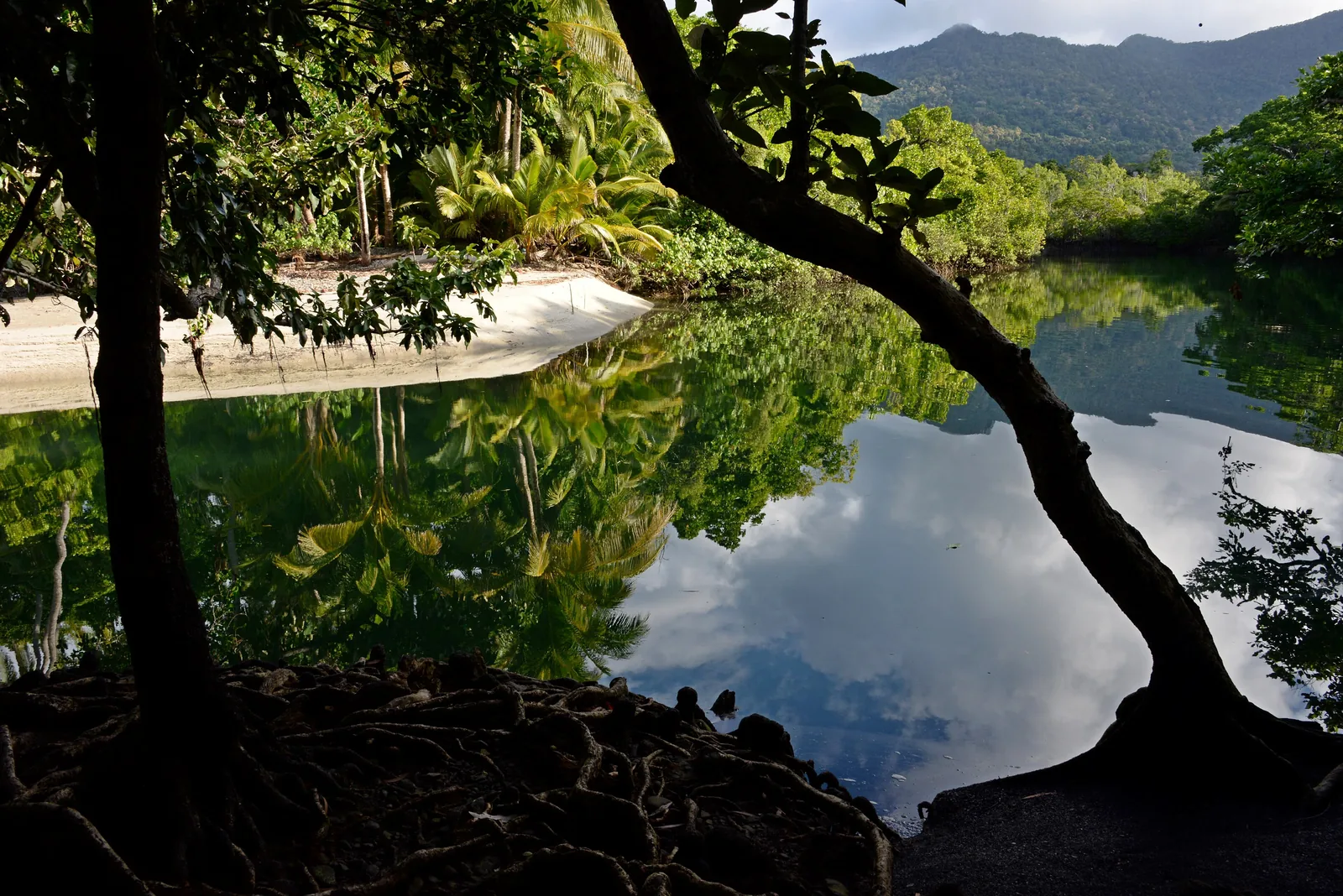 Die stille Mündung des Myall Creek bei Cape Tribulation im Daintree-Nationalpark spiegelt Bäume und Wolken, dahinter bewaldete Berge