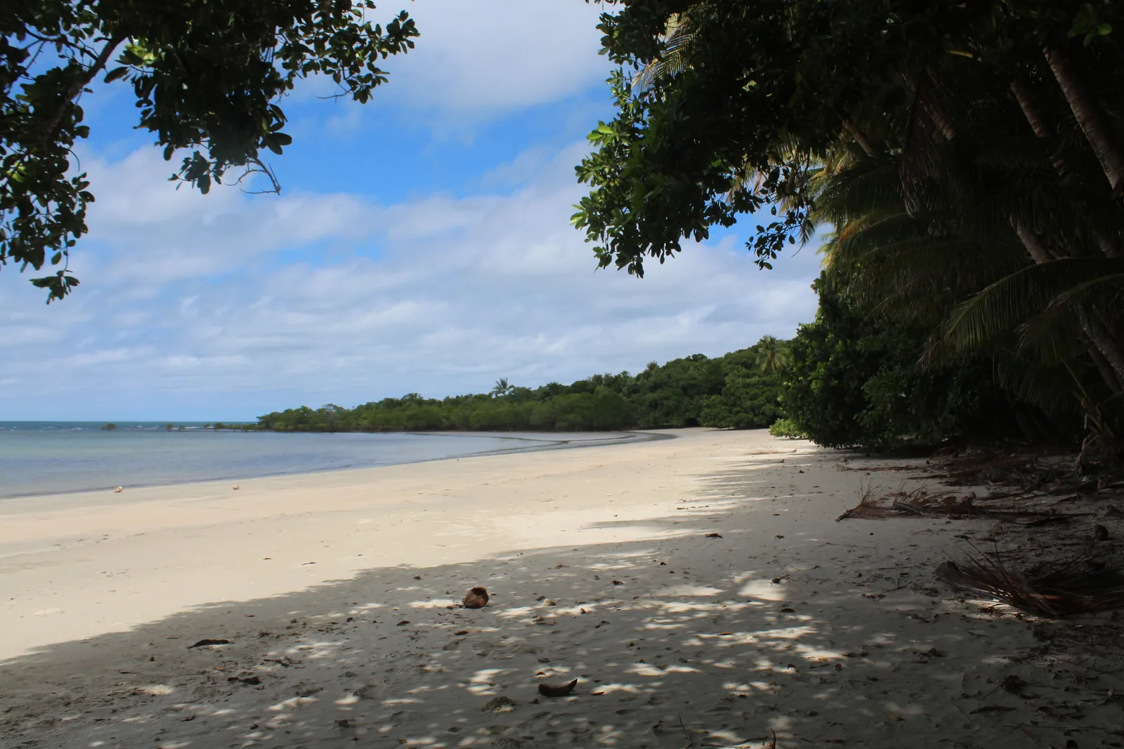 Ein heller Sandstrand bei Cape Tribulation, links das Meer, rechts dichter Regenwald mit Palmen, der bis an den Strand reicht