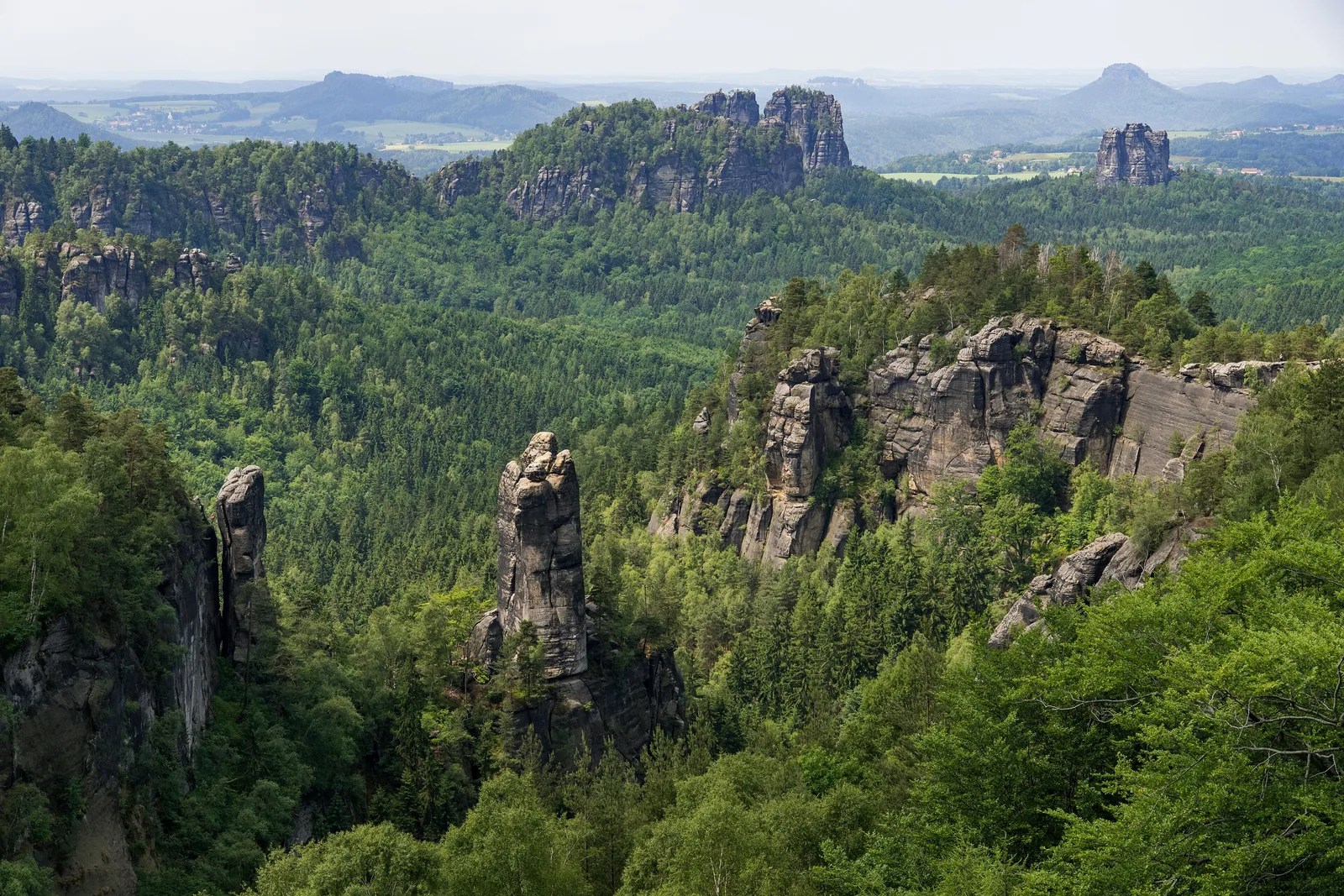 Blick vom Carolafelsen über die bewaldeten Affensteine und Felstürme bis zur Schrammsteinkette im Nationalpark Sächsische Schweiz