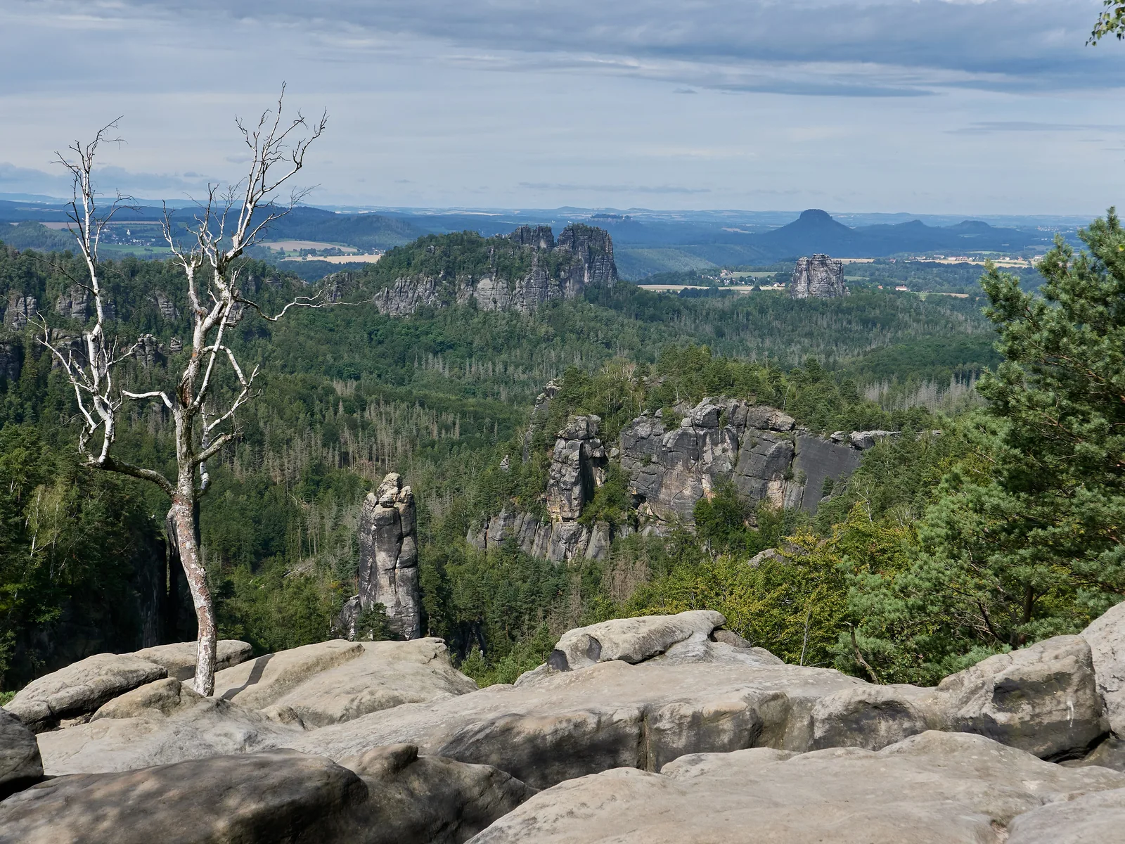 Felsplateau des Carolafelsens mit abgestorbenem Baum und Blick über den Großen Dom zur Schrammsteinkette