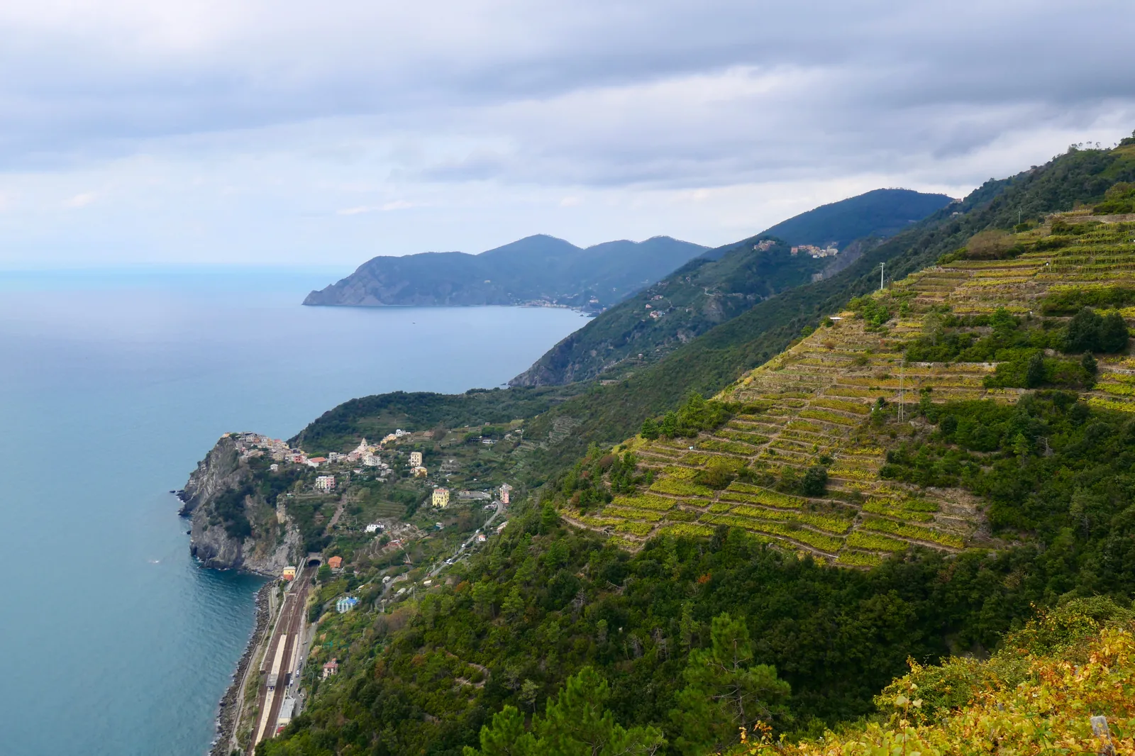 Weinbergterrassen an den steilen Hängen der Cinque Terre über dem Meer, an der Küste ein Dorf auf einem Felsvorsprung