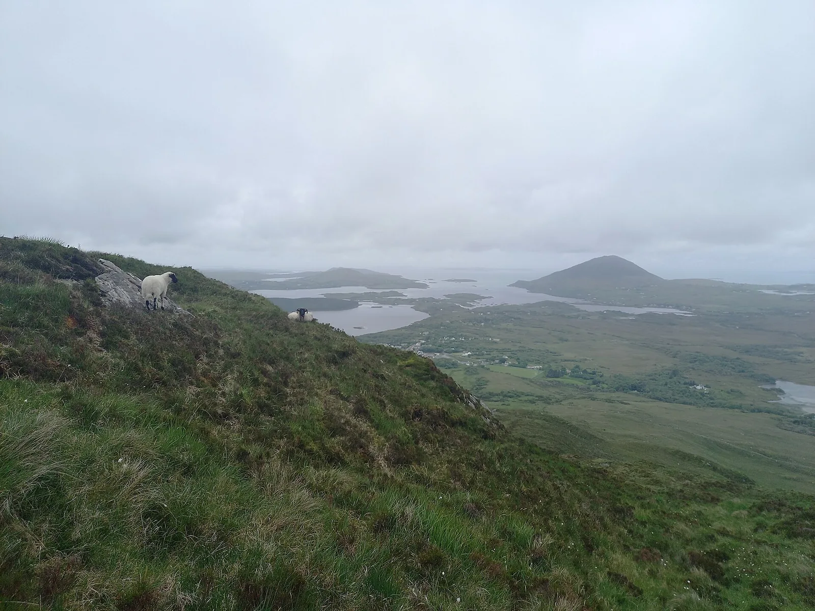 Blick vom Diamond Hill im Connemara-Nationalpark über die Küste und Tully Hill