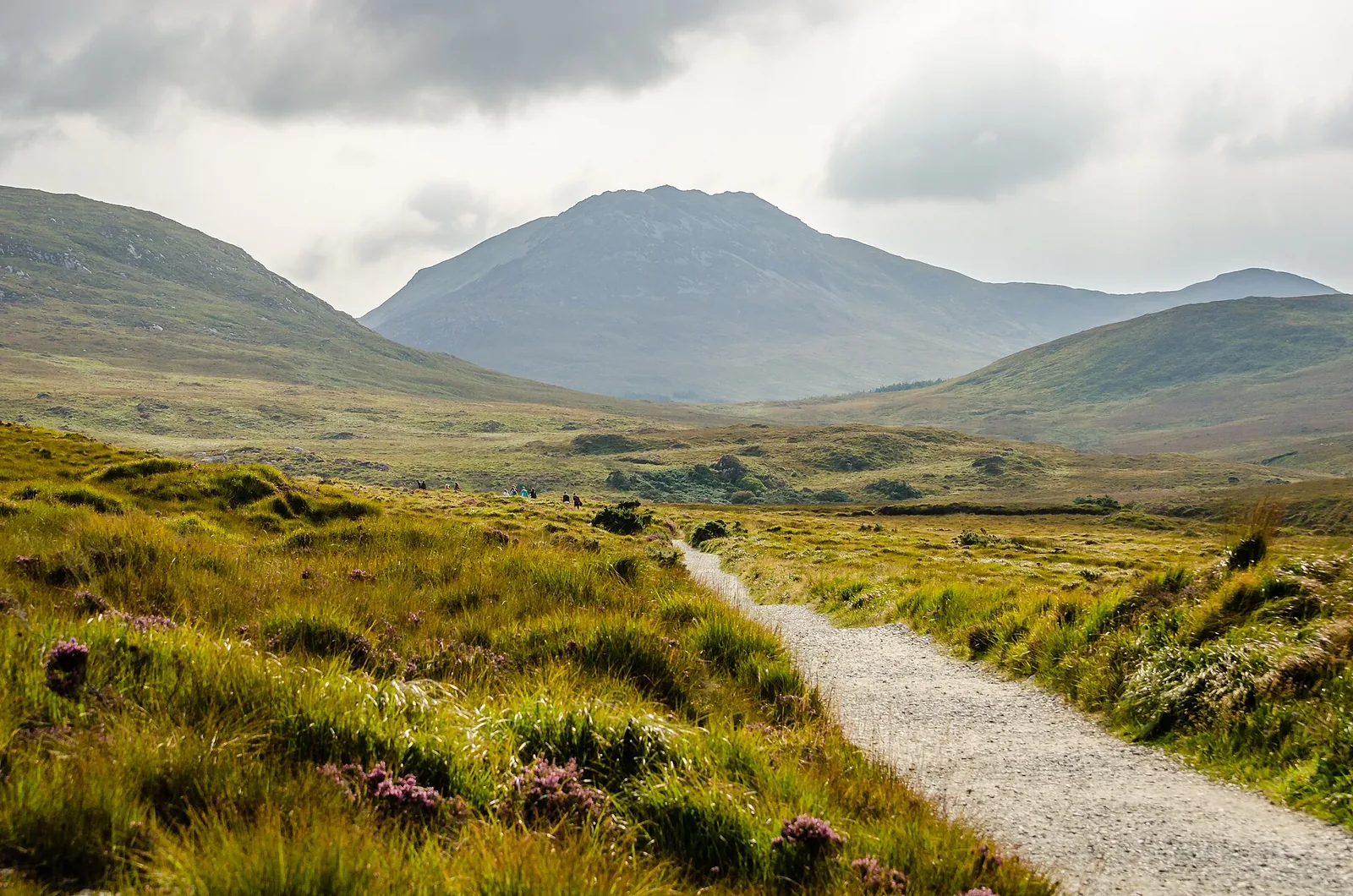 Ein Weg durch Moor und Heide im Connemara-Nationalpark, im Hintergrund die Berge der Twelve Bens