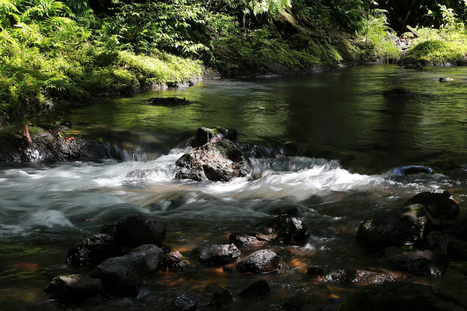 Ein klarer Fluss fließt über Steine durch den dichten Regenwald des Corcovado-Nationalparks