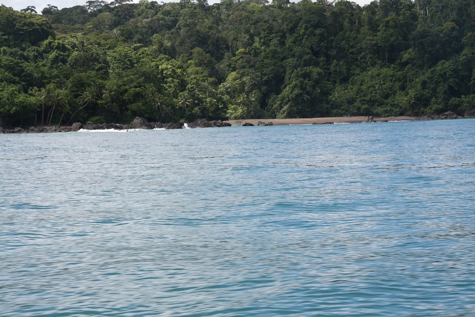 Die Küste des Corcovado-Nationalparks vom Boot aus: dichter Regenwald reicht bis an den Strand, davor ruhiges blaues Wasser