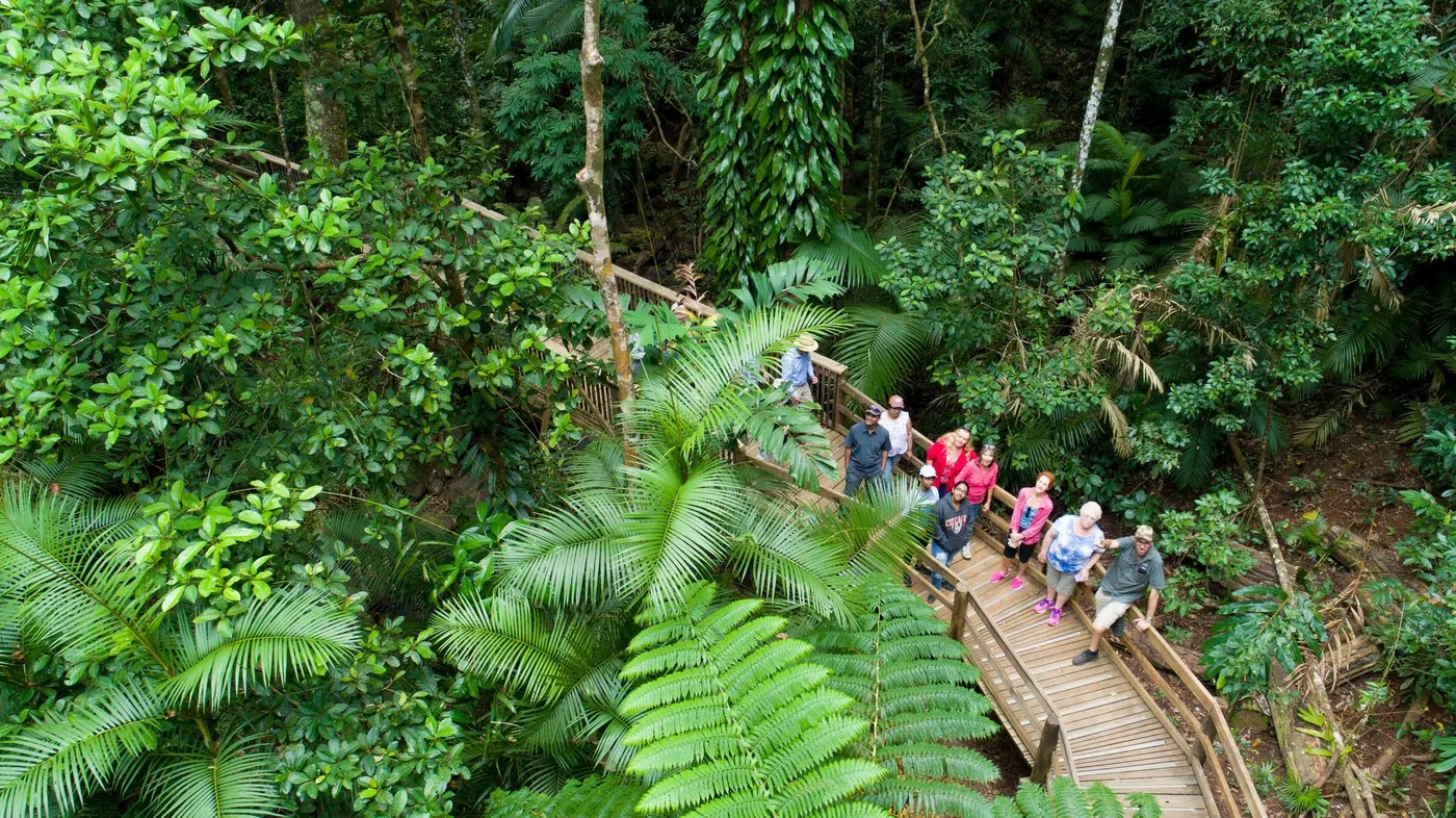 Angebotsfoto: Ab Cairns: im Geländewagen bis Cape Tribulation, mit Fähre und Baden
