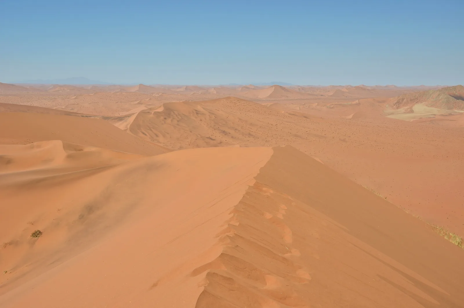 Blick vom Kamm der Düne Big Daddy hinunter auf die weiße Pfanne Deadvlei im Namib-Naukluft-Park