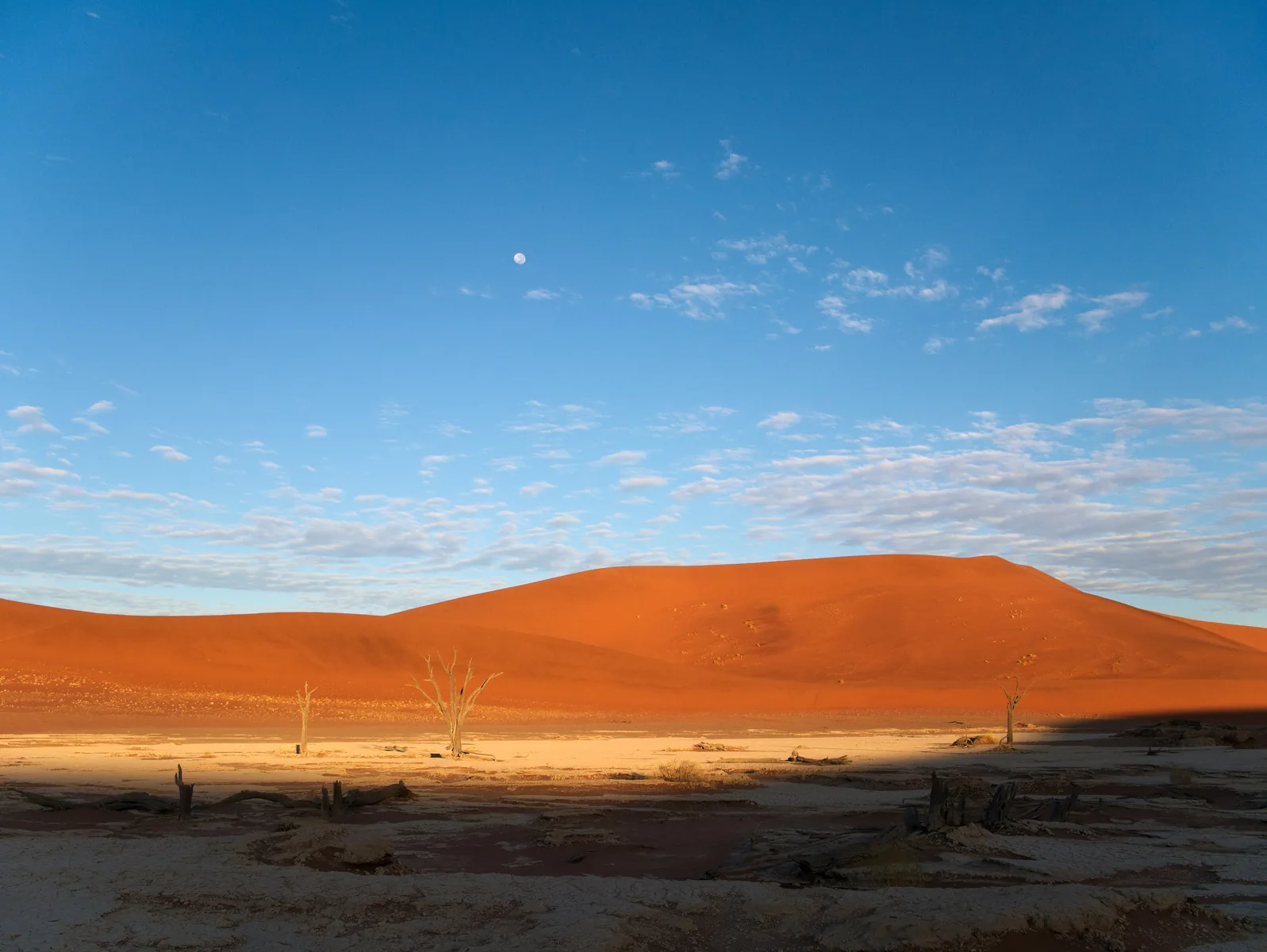 Morgenlicht in Deadvlei im Namib-Naukluft-Park, über der Düne steht der Mond