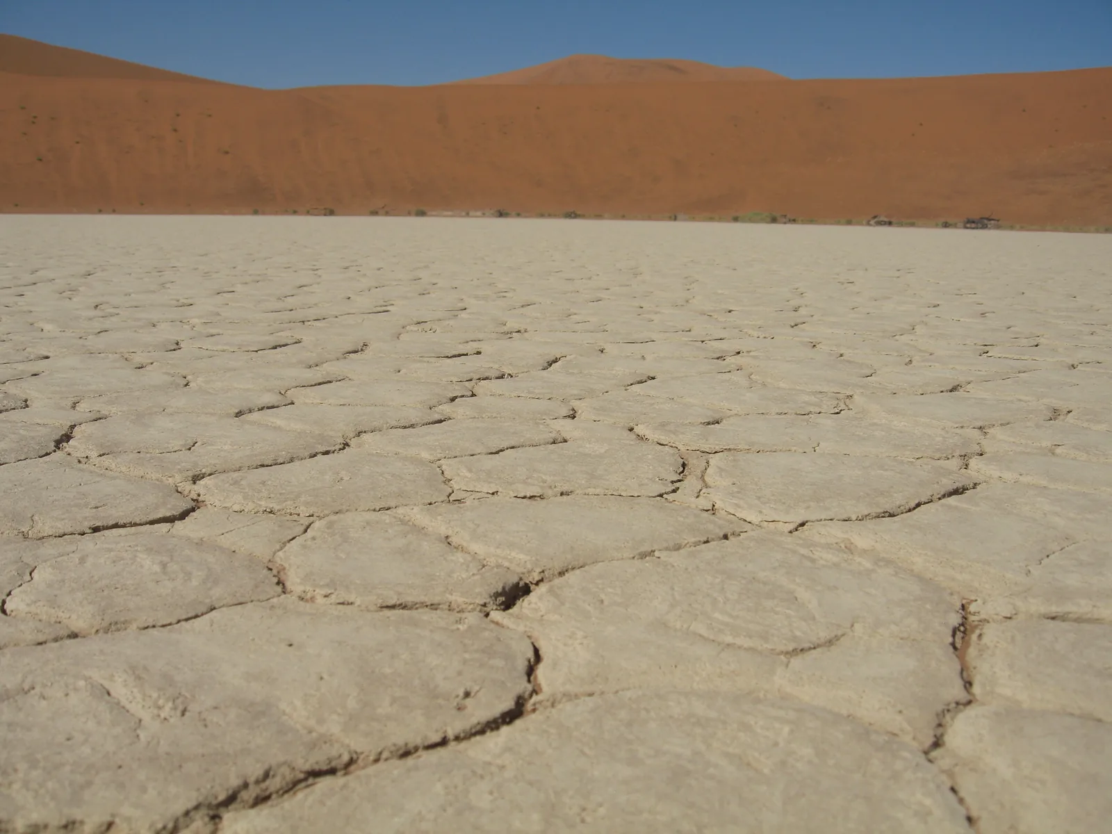 Rissiger weißer Tonboden in Deadvlei im Namib-Naukluft-Park, im Hintergrund Dünen