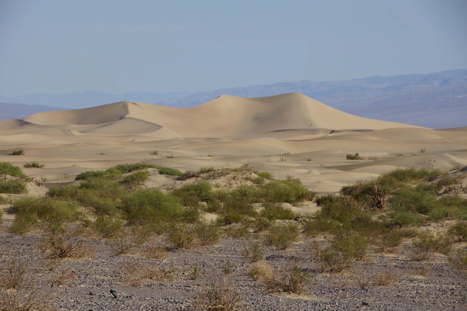 Sanft geschwungene helle Sanddünen hinter einer Ebene mit grünen Mesquite-Sträuchern, dahinter Bergketten im Dunst