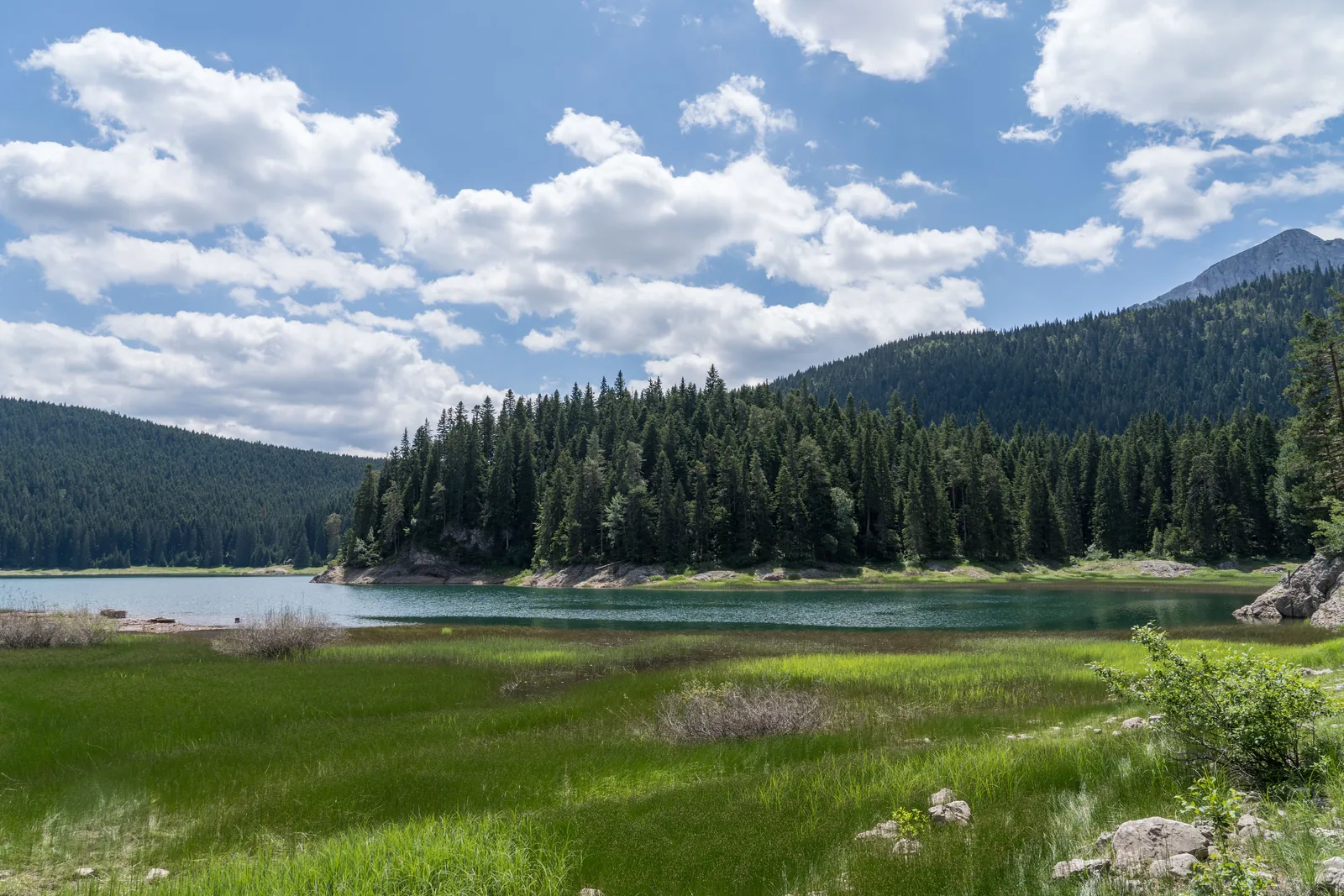 Blick über eine grüne Uferwiese auf einen See vor dichtem Nadelwald, darüber ein Berggipfel und weiße Wolken