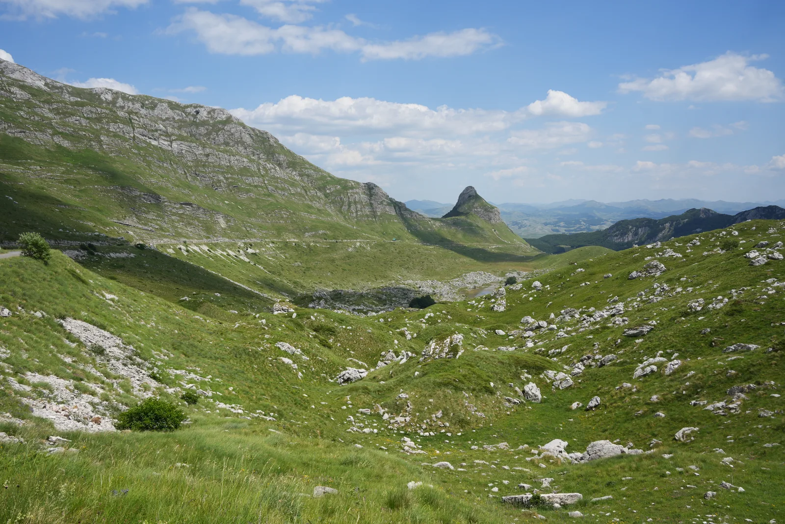 Ein weites grünes Hochtal mit verstreuten Kalkblöcken, links eine Bergflanke, im Hintergrund ein spitzer Gipfel