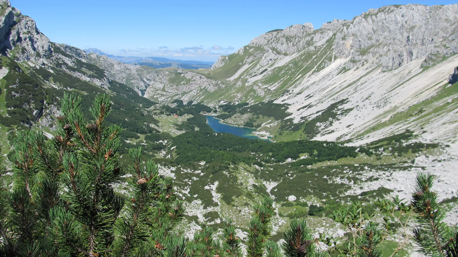 Ein tief eingeschnittenes Hochtal mit einem kleinen blauen See am Grund, links und rechts helle Felswände, vorne Latschenkiefern